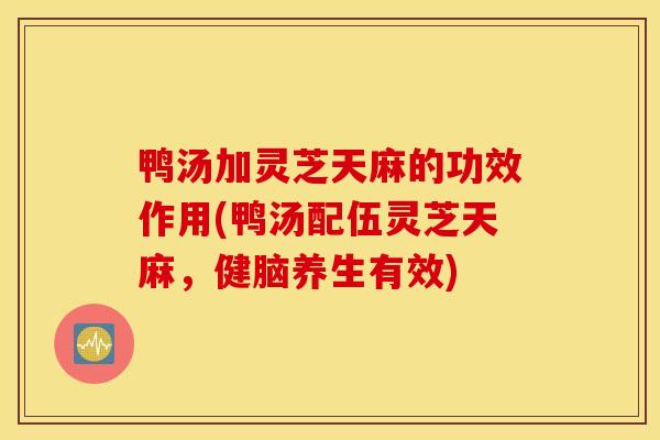 鸭汤加灵芝天麻的功效作用(鸭汤配伍灵芝天麻，健脑养生有效)