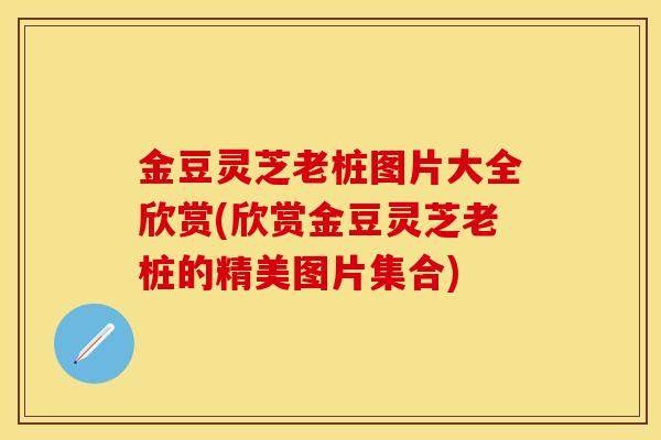 金豆灵芝老桩图片大全欣赏(欣赏金豆灵芝老桩的精美图片集合)