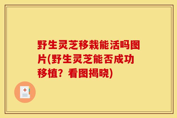 野生灵芝移栽能活吗图片(野生灵芝能否成功移植？看图揭晓)