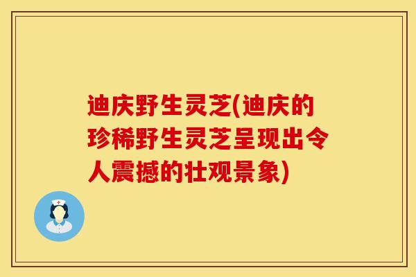 迪庆野生灵芝(迪庆的珍稀野生灵芝呈现出令人震撼的壮观景象)