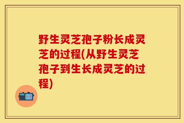 野生灵芝孢子粉长成灵芝的过程(从野生灵芝孢子到生长成灵芝的过程)