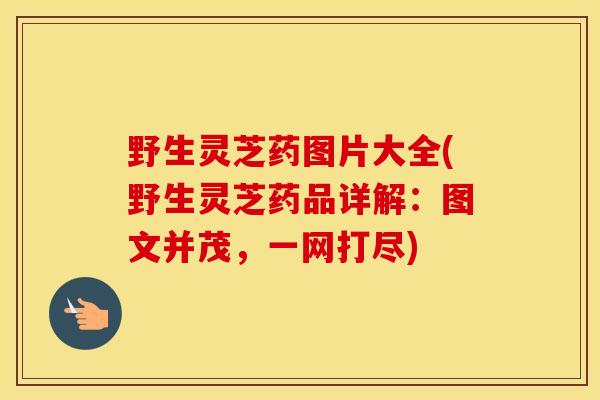 野生灵芝药图片大全(野生灵芝药品详解：图文并茂，一网打尽)