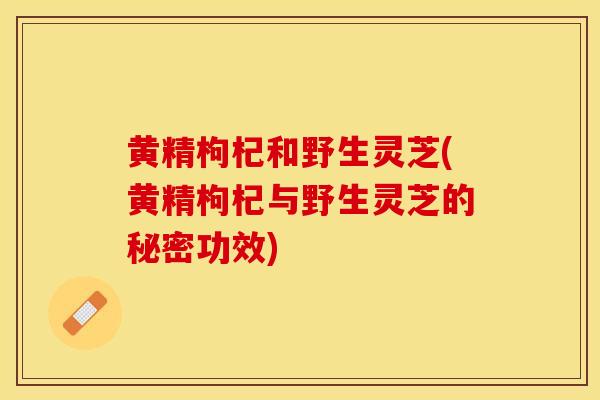 黄精枸杞和野生灵芝(黄精枸杞与野生灵芝的秘密功效)