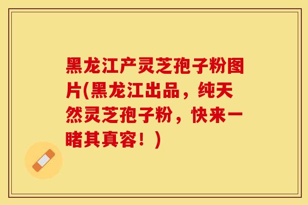 黑龙江产灵芝孢子粉图片(黑龙江出品，纯天然灵芝孢子粉，快来一睹其真容！)