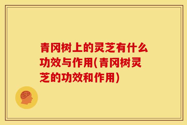 青冈树上的灵芝有什么功效与作用(青冈树灵芝的功效和作用)