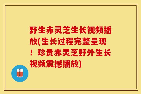 野生赤灵芝生长视频播放(生长过程完整呈现！珍贵赤灵芝野外生长视频震撼播放)