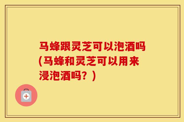 马蜂跟灵芝可以泡酒吗(马蜂和灵芝可以用来浸泡酒吗？)