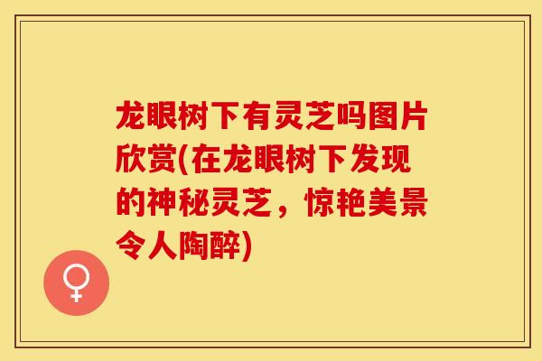 龙眼树下有灵芝吗图片欣赏(在龙眼树下发现的神秘灵芝，惊艳美景令人陶醉)