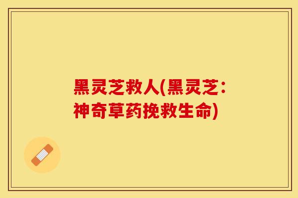 黑灵芝救人(黑灵芝：神奇草药挽救生命)
