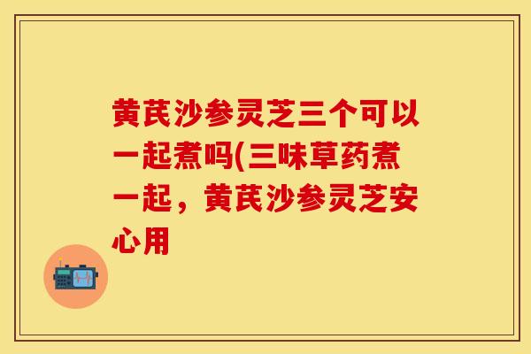 黄芪沙参灵芝三个可以一起煮吗(三味草药煮一起，黄芪沙参灵芝安心用