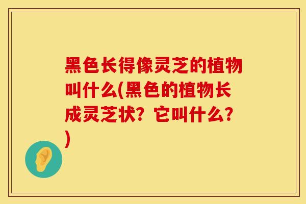 黑色长得像灵芝的植物叫什么(黑色的植物长成灵芝状？它叫什么？)