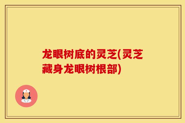 龙眼树底的灵芝(灵芝藏身龙眼树根部)