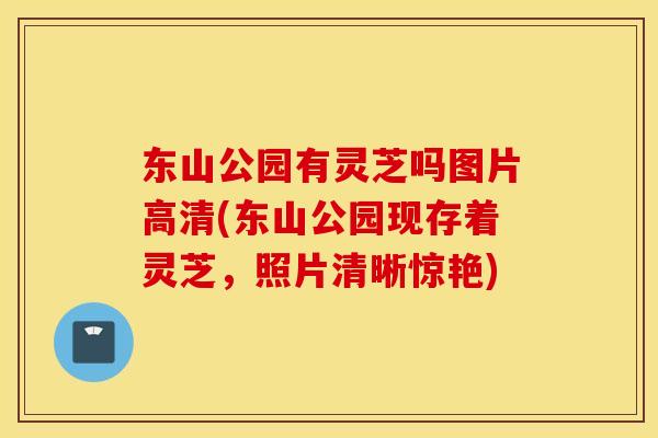 东山公园有灵芝吗图片高清(东山公园现存着灵芝，照片清晰惊艳)