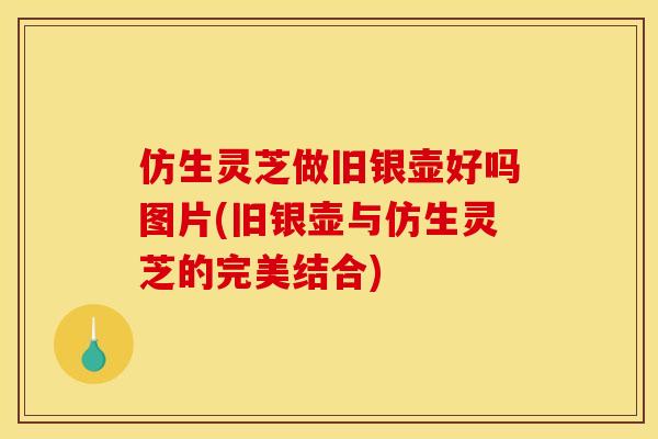仿生灵芝做旧银壶好吗图片(旧银壶与仿生灵芝的完美结合)