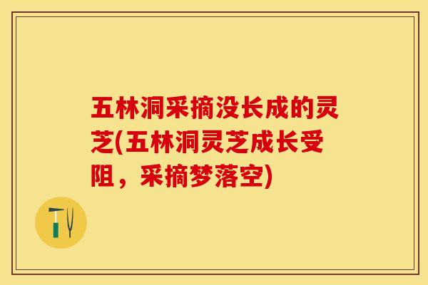 五林洞采摘没长成的灵芝(五林洞灵芝成长受阻，采摘梦落空)