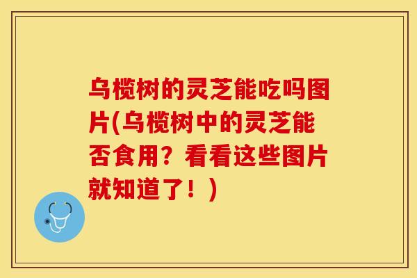 乌榄树的灵芝能吃吗图片(乌榄树中的灵芝能否食用?看看这些图片就知道了!) 乌榄树的灵芝能吃吗图片(乌榄树中的灵芝能否食用?看看这些图片就知道了!)