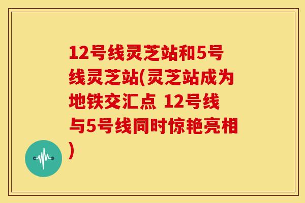 12号线灵芝站和5号线灵芝站(灵芝站成为地铁交汇点 12号线与5号线同时惊艳亮相)
