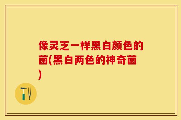 像灵芝一样黑白颜色的菌(黑白两色的神奇菌)