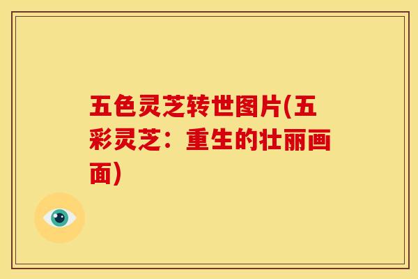 五色灵芝转世图片(五彩灵芝：重生的壮丽画面)