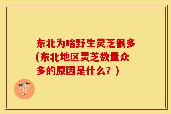东北为啥野生灵芝很多(东北地区灵芝数量众多的原因是什么？)