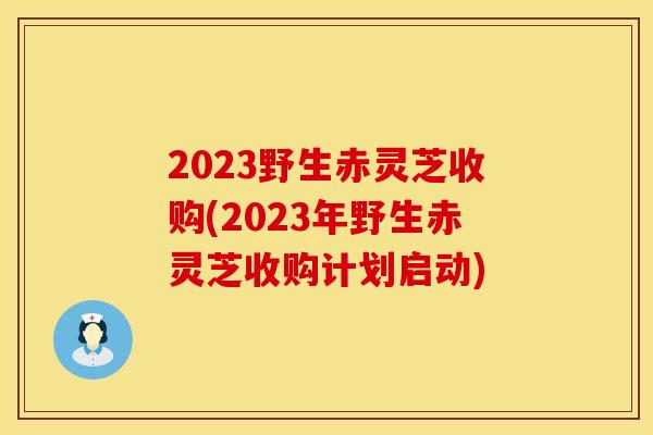 2023野生赤灵芝收购(2023年野生赤灵芝收购计划启动)