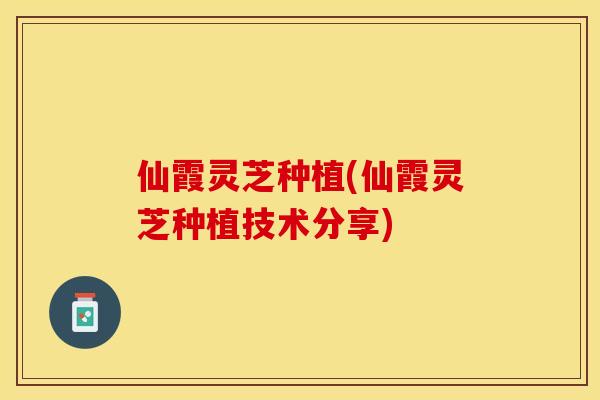 仙霞灵芝种植(仙霞灵芝种植技术分享)
