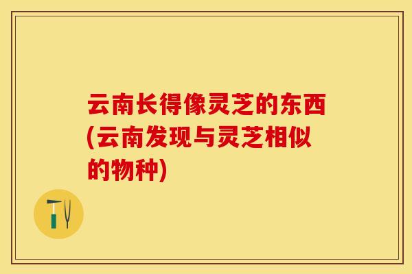 云南长得像灵芝的东西(云南发现与灵芝相似的物种)