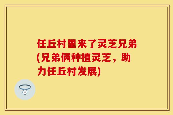 任丘村里来了灵芝兄弟(兄弟俩种植灵芝，助力任丘村发展)