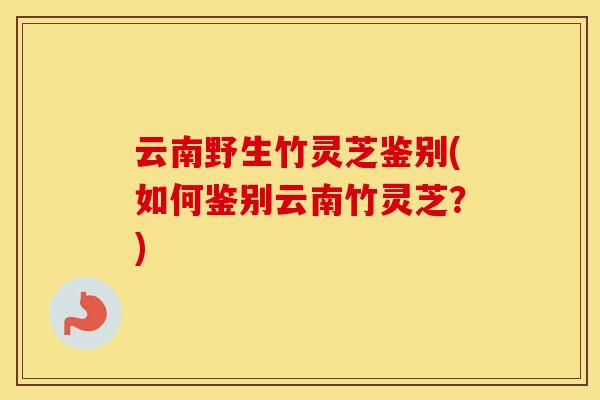 云南野生竹灵芝鉴别(如何鉴别云南竹灵芝？)