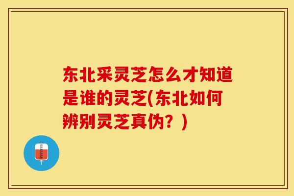 东北采灵芝怎么才知道是谁的灵芝(东北如何辨别灵芝真伪？)