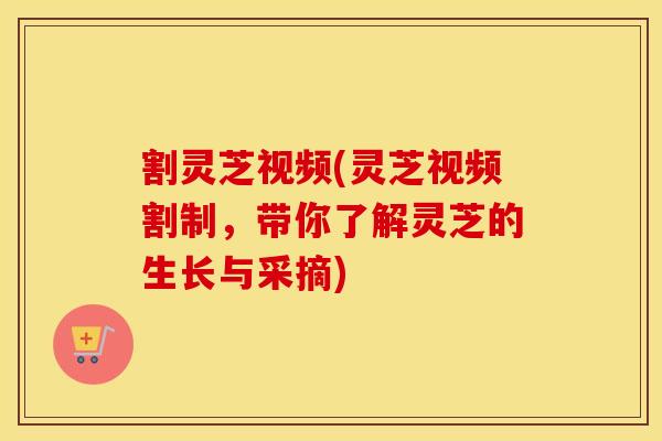 割灵芝视频(灵芝视频割制，带你了解灵芝的生长与采摘)