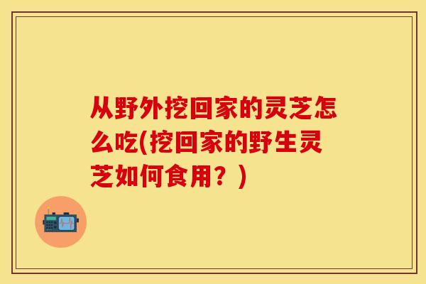 从野外挖回家的灵芝怎么吃(挖回家的野生灵芝如何食用？)