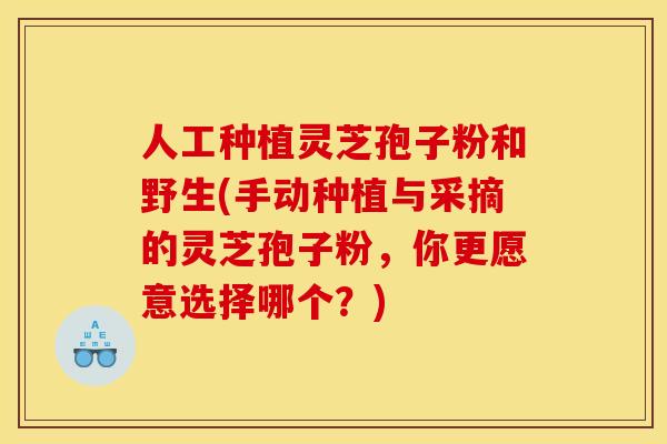 人工种植灵芝孢子粉和野生(手动种植与采摘的灵芝孢子粉，你更愿意选择哪个？)
