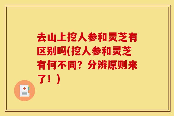 去山上挖人参和灵芝有区别吗(挖人参和灵芝有何不同？分辨原则来了！)