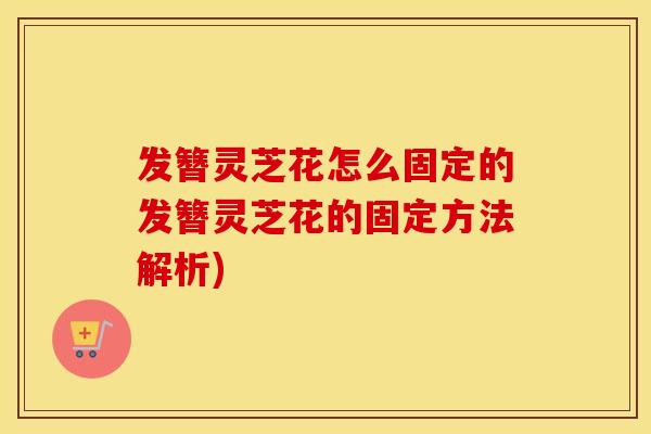 发簪灵芝花怎么固定的发簪灵芝花的固定方法解析)