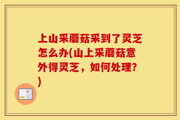 上山采蘑菇采到了灵芝怎么办(山上采蘑菇意外得灵芝，如何处理？)