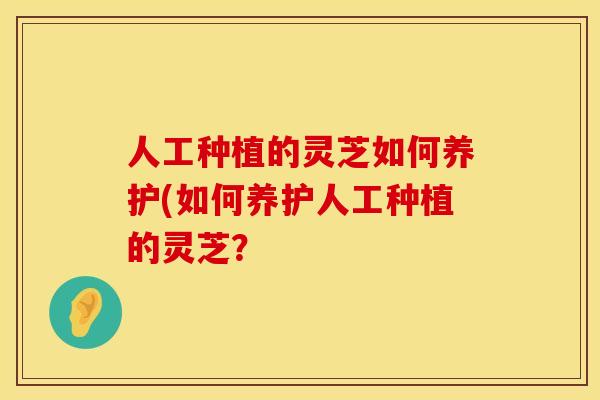 人工种植的灵芝如何养护(如何养护人工种植的灵芝？