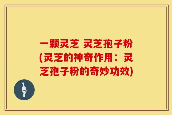 一颗灵芝 灵芝孢子粉(灵芝的神奇作用：灵芝孢子粉的奇妙功效)