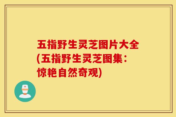 五指野生灵芝图片大全(五指野生灵芝图集:惊艳自然奇观) 五指野生灵芝图片大全(五指野生灵芝图集:惊艳自然奇观)