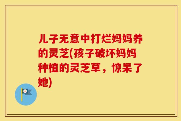 儿子无意中打烂妈妈养的灵芝(孩子破坏妈妈种植的灵芝草，惊呆了她)
