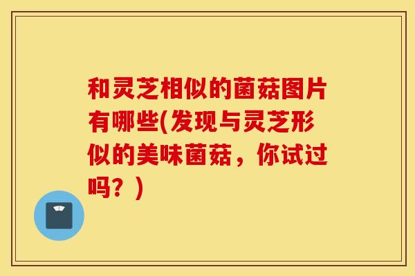 和灵芝相似的菌菇图片有哪些(发现与灵芝形似的美味菌菇，你试过吗？)