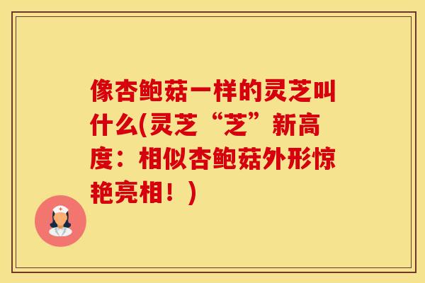 像杏鲍菇一样的灵芝叫什么(灵芝“芝”新高度：相似杏鲍菇外形惊艳亮相！)