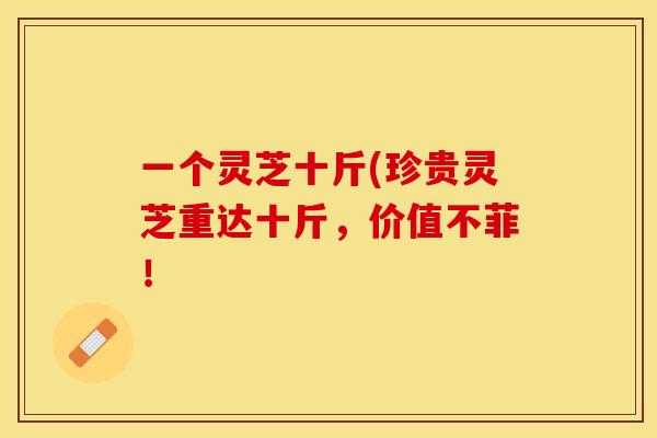 一个灵芝十斤(珍贵灵芝重达十斤，价值不菲！