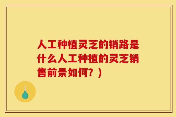 人工种植灵芝的销路是什么人工种植的灵芝销售前景如何？)