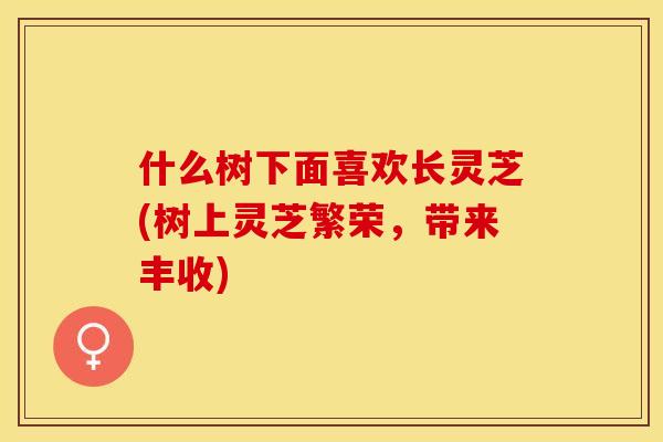 什么树下面喜欢长灵芝(树上灵芝繁荣，带来丰收)