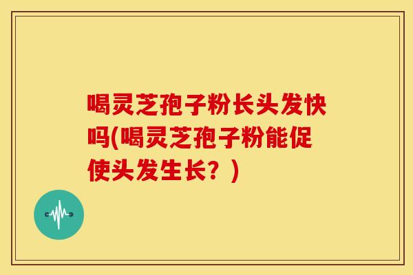喝灵芝孢子粉长头发快吗(喝灵芝孢子粉能促使头发生长？)