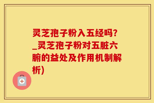 灵芝孢子粉入五经吗？_灵芝孢子粉对五脏六腑的益处及作用机制解析)