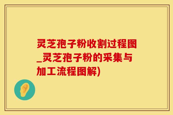 灵芝孢子粉收割过程图_灵芝孢子粉的采集与加工流程图解)