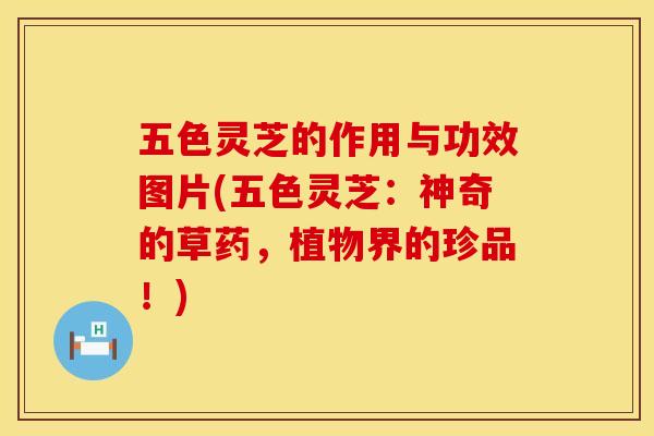 五色灵芝的作用与功效图片(五色灵芝：神奇的草药，植物界的珍品！)