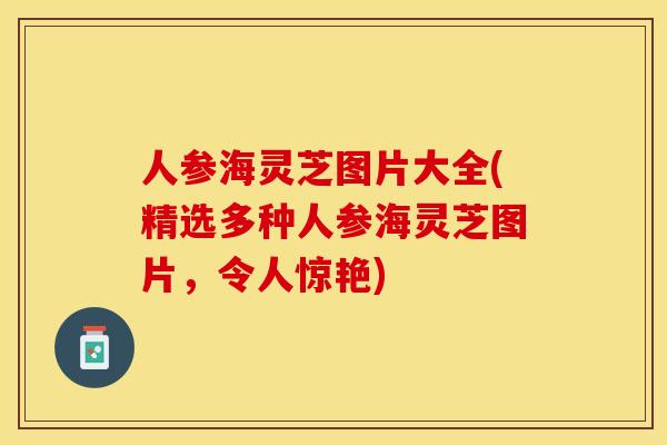 人参海灵芝图片大全(精选多种人参海灵芝图片，令人惊艳)